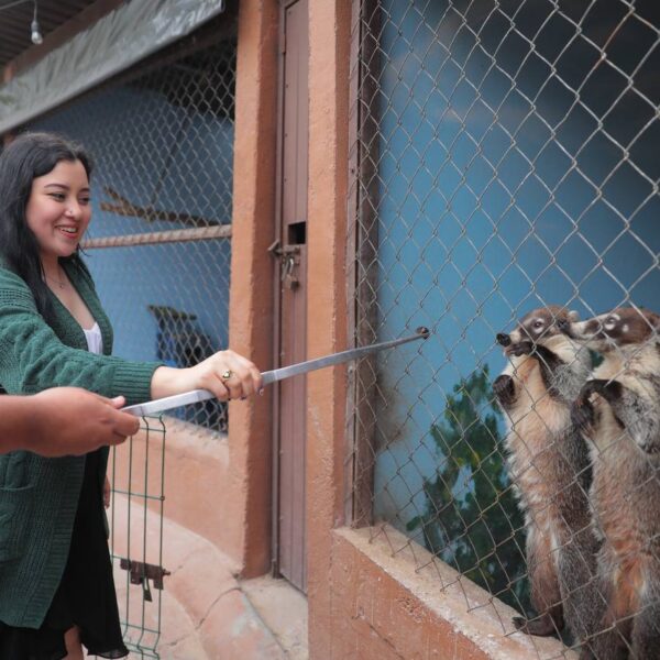 Anuncia zoológico  “Amorosas Actividades” para este 14 de febrero