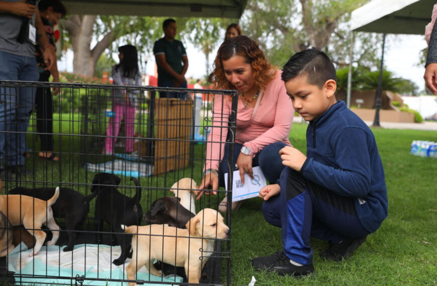 Invita Dirección de Bienestar Animal a feria de adopción de mascotas en el Día del Amor y la Amistad