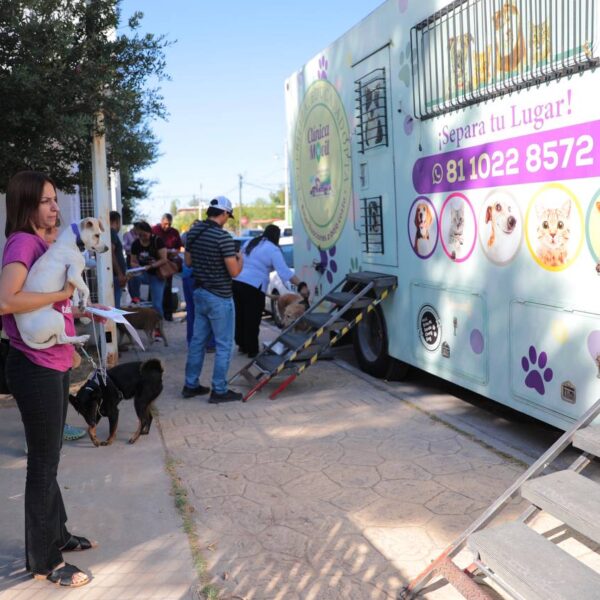 Activará la Dirección de Bienestar Animal jornada de esterilización felina y canina