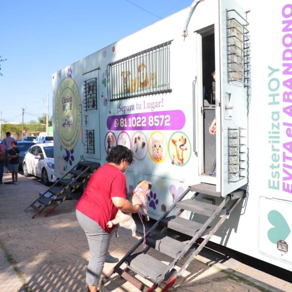Tendrá Dirección de Bienestar Animal jornada de esterilización felina y canina
