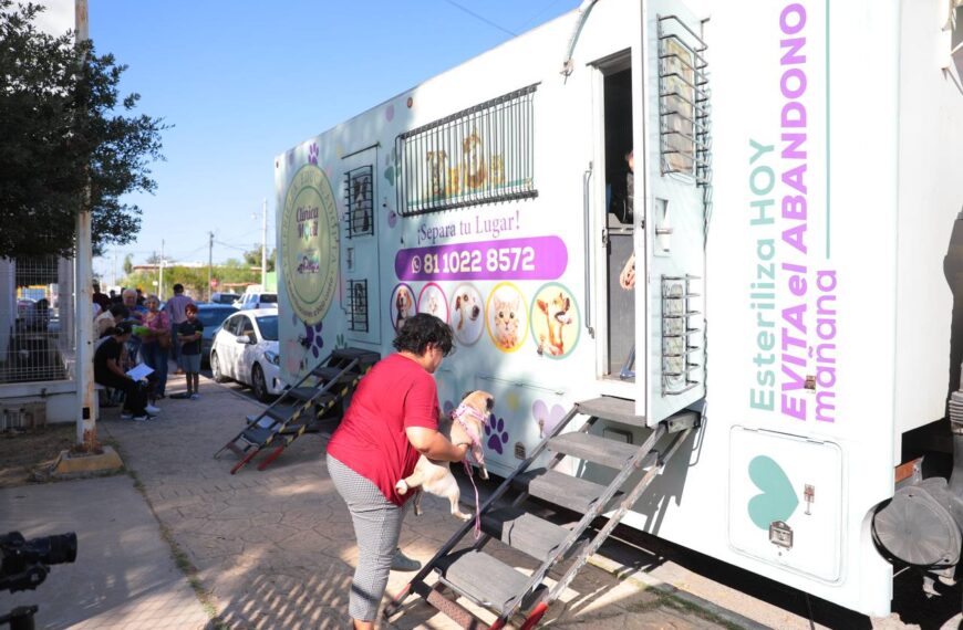 Tendrá Dirección de Bienestar Animal jornada de esterilización felina y canina