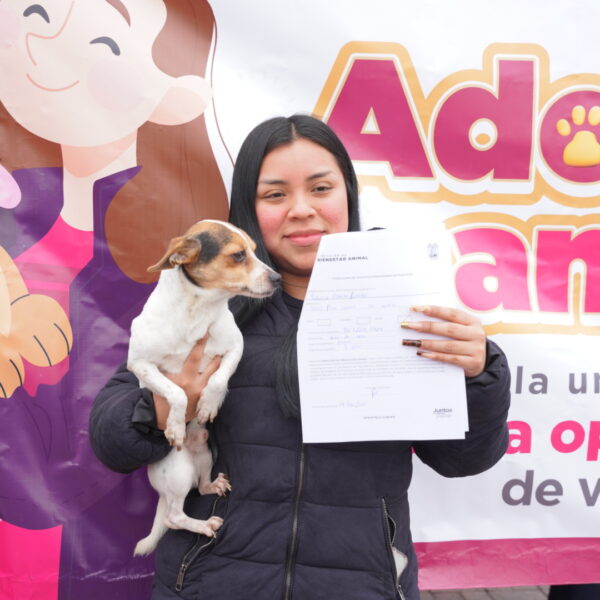 Éxito total en adopciones de mascotas; rescatados de la calle encuentran un hogar