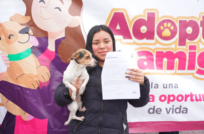 Éxito total en adopciones de mascotas; rescatados de la calle encuentran un hogar
