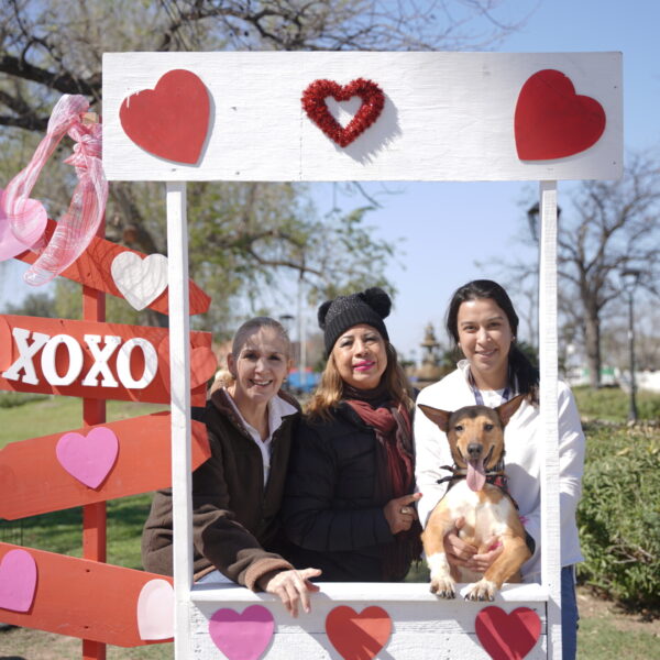 Exitosa feria de adopciones en Nuevo Laredo: 31 mascotas encuentran un nuevo hogar