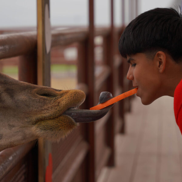 Disfrutan familias festejo de San Valentín en el zoológico de Nuevo Laredo