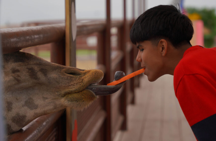 Disfrutan familias festejo de San Valentín en el zoológico de Nuevo Laredo