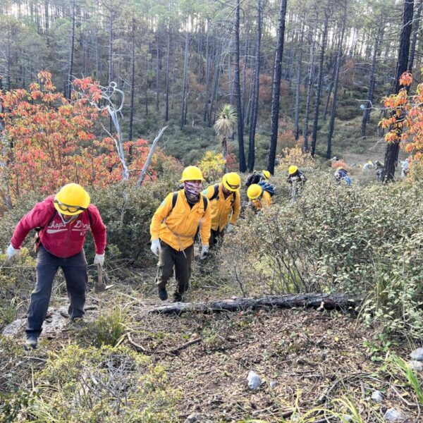 Capacitan a brigadas para prevenir y combatir incendios forestales en Tamaulipas