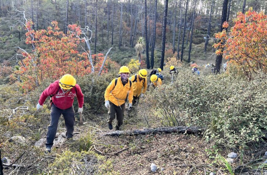 Capacitan a brigadas para prevenir y combatir incendios forestales en Tamaulipas
