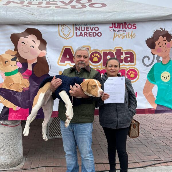 Refuerza Dirección de Bienestar Animal atención a perros y gatos en situación de calle