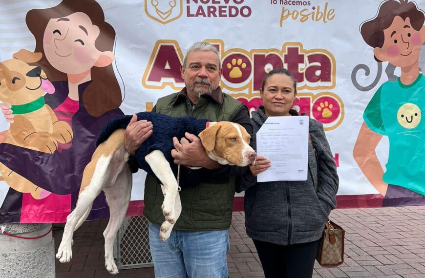 Refuerza Dirección de Bienestar Animal atención a perros y gatos en situación de calle