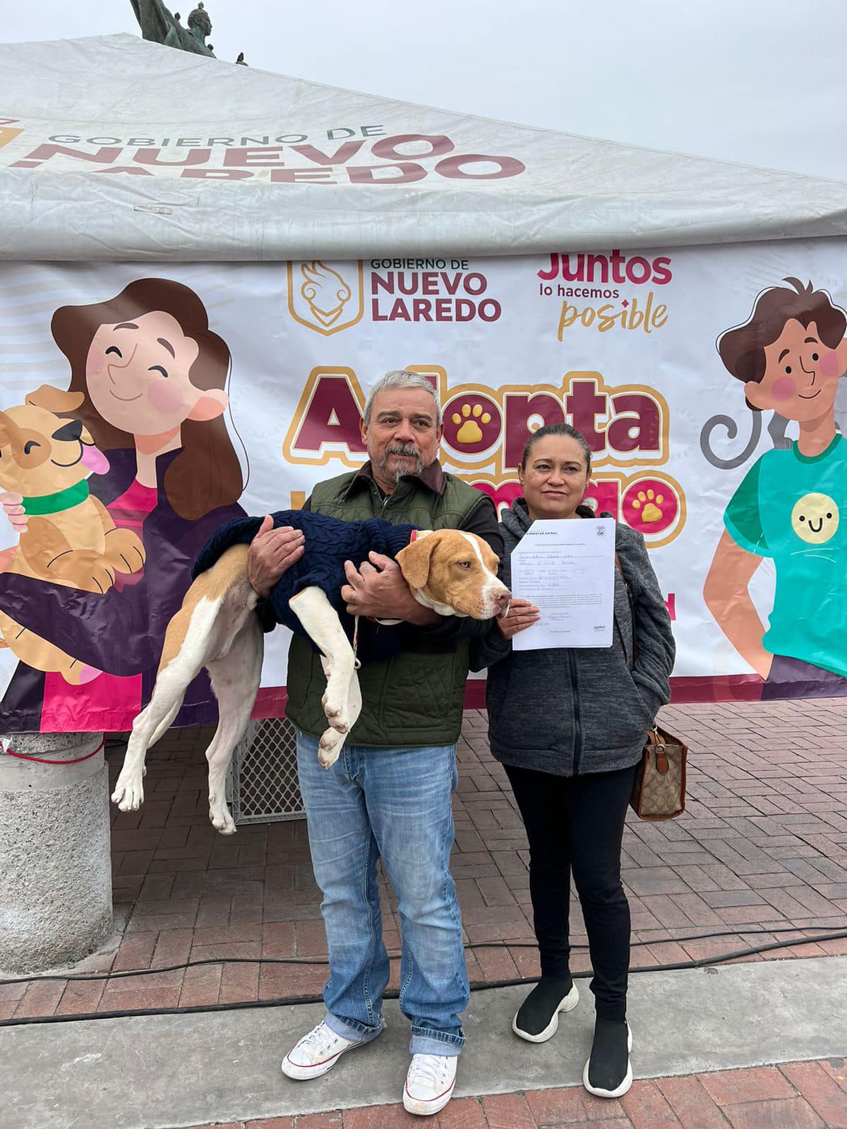Refuerza Dirección de Bienestar Animal atención a perros y gatos en situación de calle
