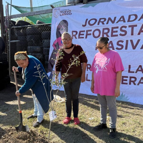 Intensifica el gobierno municipal la campaña de reforestación en Nuevo Laredo