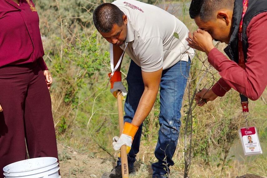 Nuevo Laredo más verde: Impulsan reforestación con más árboles y participación ciudadana