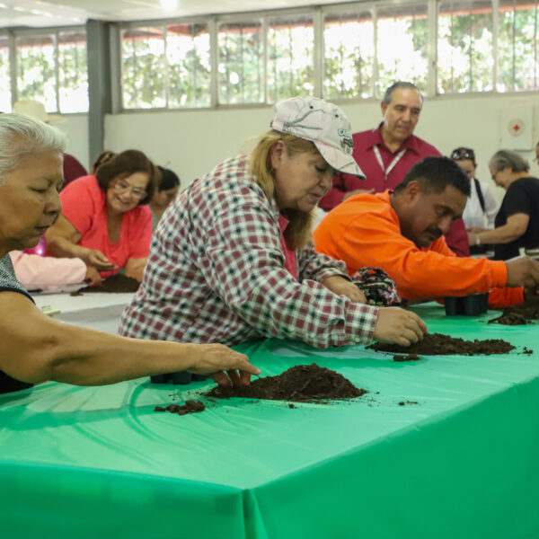 Inicia gobierno municipal cursos de huertos familiares para promover la autosuficiencia alimentaria