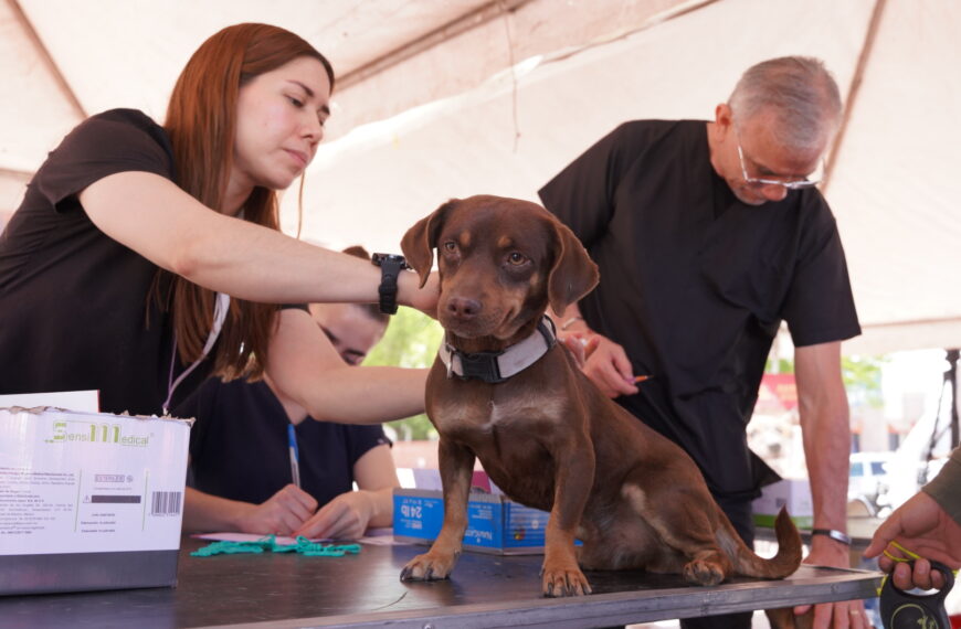Responde la ciudadanía a la jornada de vacunación canina del gobierno municipal