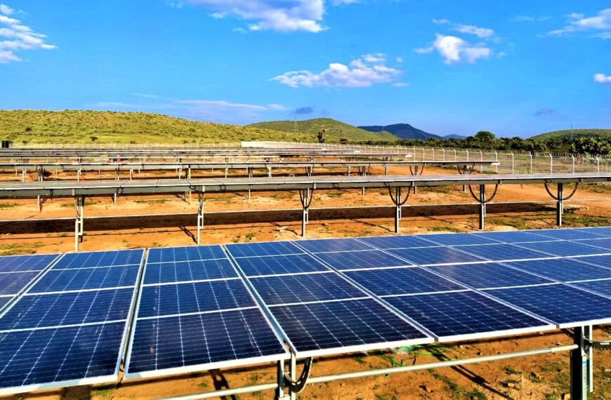 Construirán tres parques solares en Tamaulipas; estarán en varios terrenos de Altamira y González