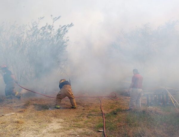 Protección Civil y Bomberos ha sofocado 263 incendios en zacatales y baldíos