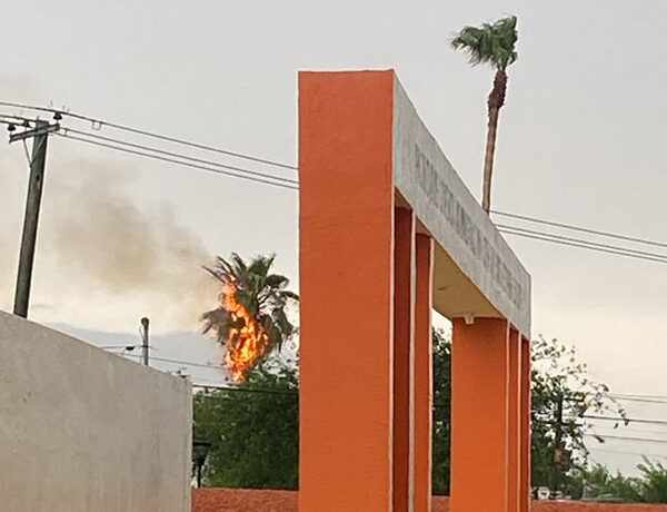 Rayo impacta una palma en la Infonavit, desata incendio y causa apagones