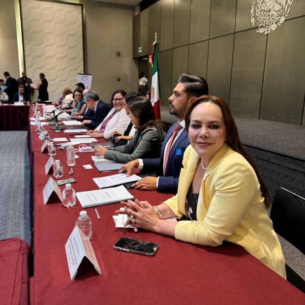 Alcaldesa Carmen Lilia Canturosas se integra al Consejo…