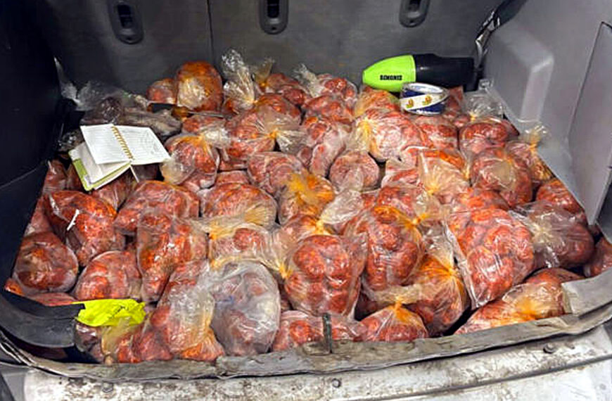 Oficiales de CBP decomisan carne de cerdo en el Puente Juárez-Lincoln durante operativo de inspección a vehículo particular