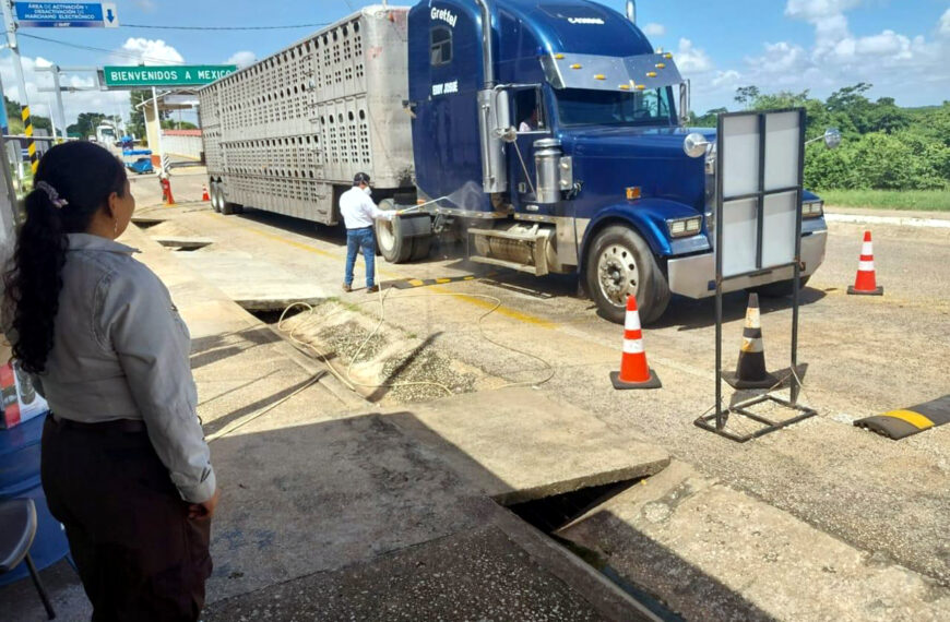 evaluación sanitaria ganado nuevo laredo junio 2025