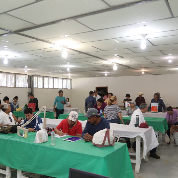 🪴 Crece el interés en la autosuficiencia: Concluyen con éxito los talleres de huertos familiares en Nuevo Laredo