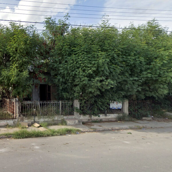 Perro Tyson que guió a vecinos al cuerpo de Rigoberto García Cruz en casa abandonada en Nuevo Laredo