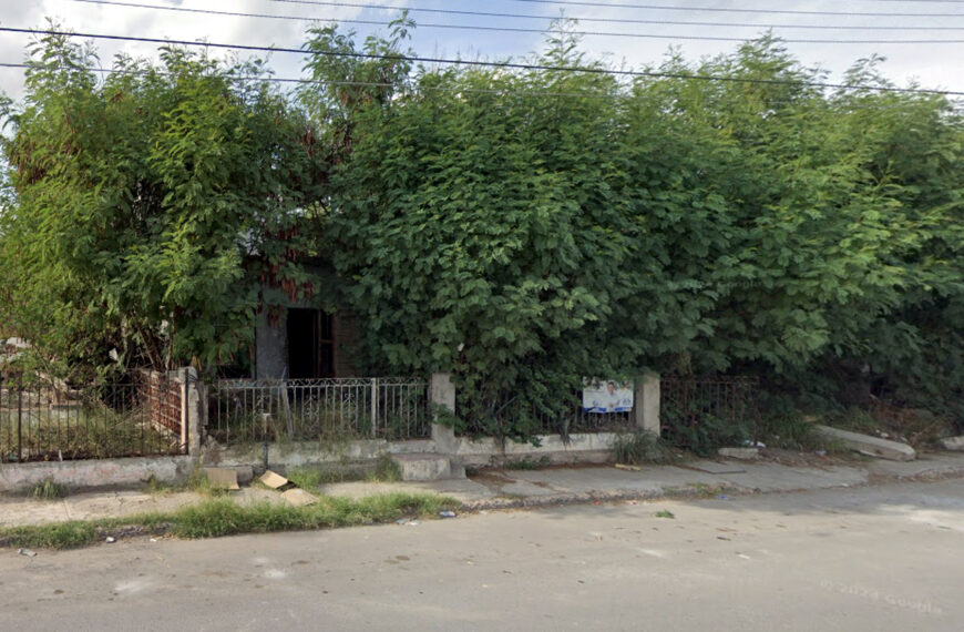 Perro Tyson que guió a vecinos al cuerpo de Rigoberto García Cruz en casa abandonada en Nuevo Laredo