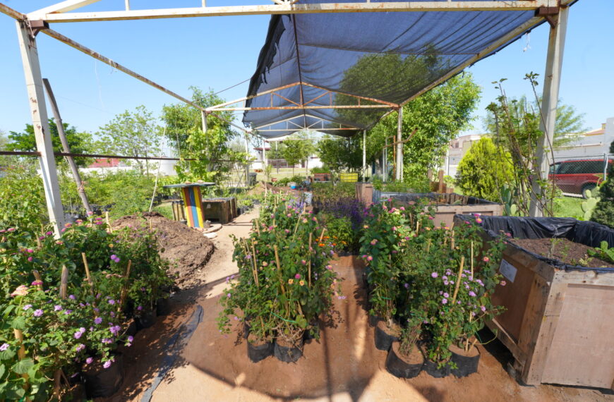 Nuevo Laredo da inicio a creación de jardines polinizadores en los espacios públicos de la ciudad