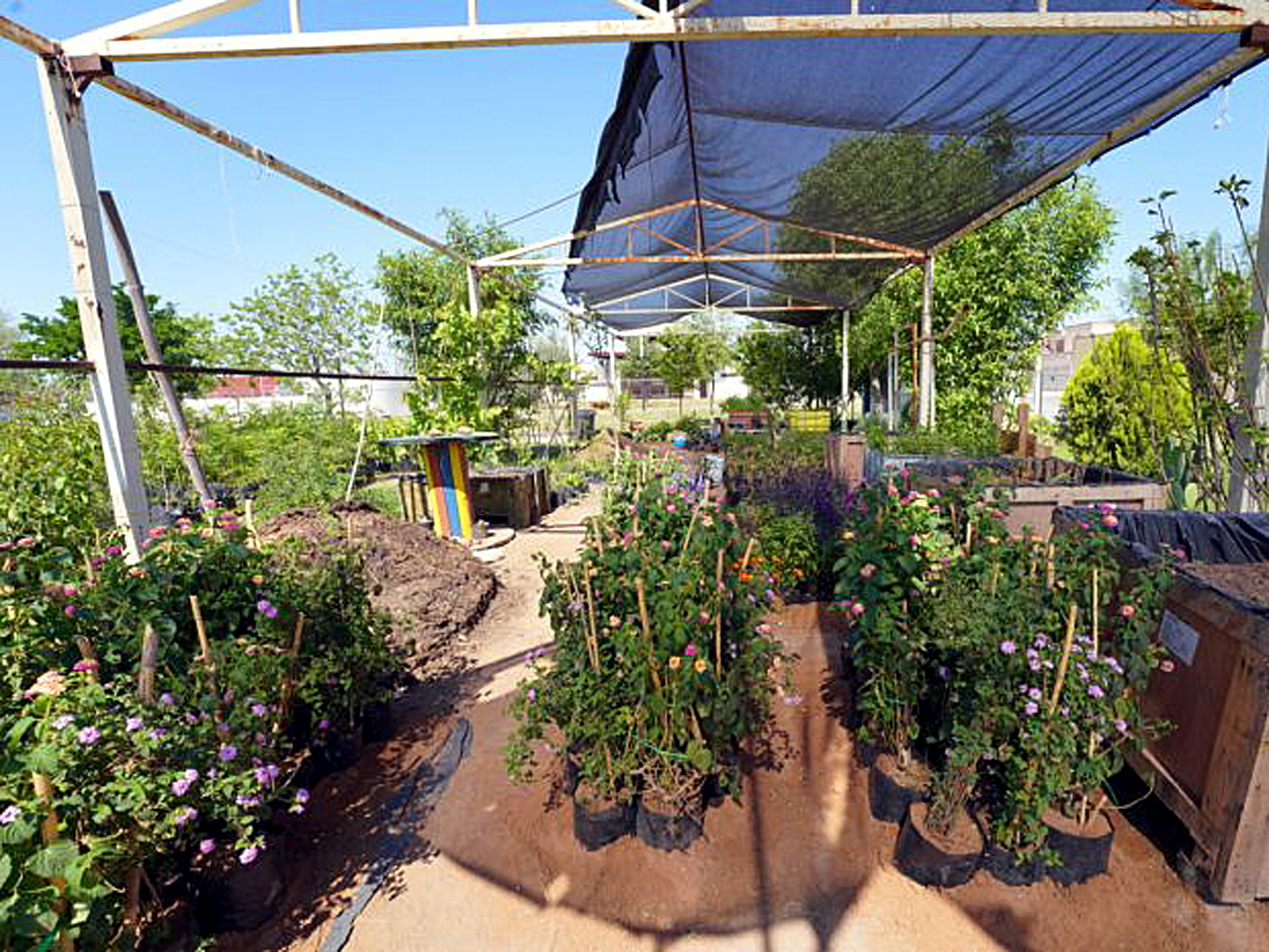 La ciudad ha adoptado soluciones basadas en la naturaleza como jardines de lluvia y corredores verdes para enfrentar la crisis climtica y mejorar la calidad ambiental
