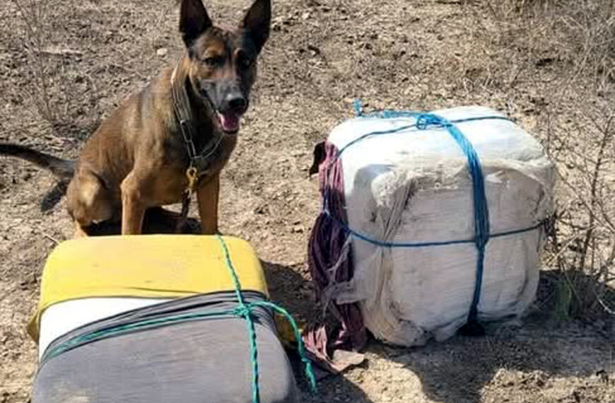 Murió Demon: Con su nariz detectó $316 millones en drogas y atrapó a 226 migrantes