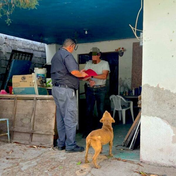 Dirección de Bienestar Animal refuerza acciones y sanciones contra el maltrato animal en Nuevo Laredo