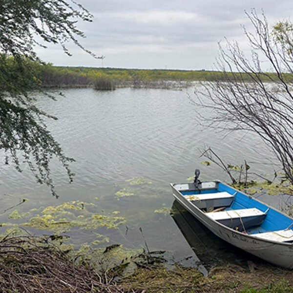 Hombre desaparece tras volcarse su lancha en laguna de rancho en Vallecillo y lo buscan con buzos