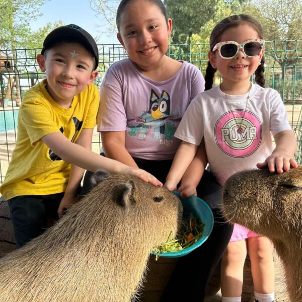 ¡Este fin de Semana Santa el zoológico abrirá más horas y tendrá sorpresas con animales!