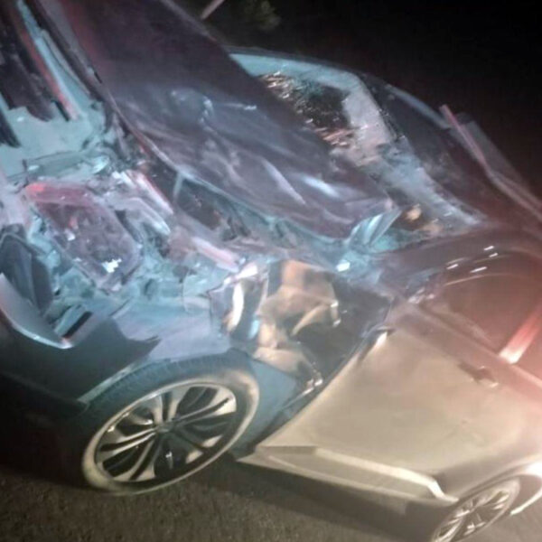Accidente por caballo en la autopista Saltillo-Torreón deja camioneta destrozada