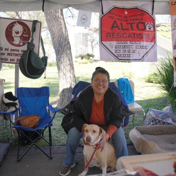 Feria de adopción canina y felina en Nuevo Laredo frente a la Catedral