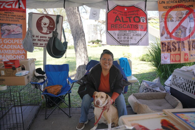 Feria de adopción canina y felina en Nuevo Laredo frente a la Catedral