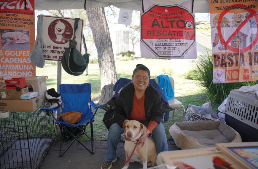 Feria de adopción canina y felina en Nuevo Laredo frente a la Catedral