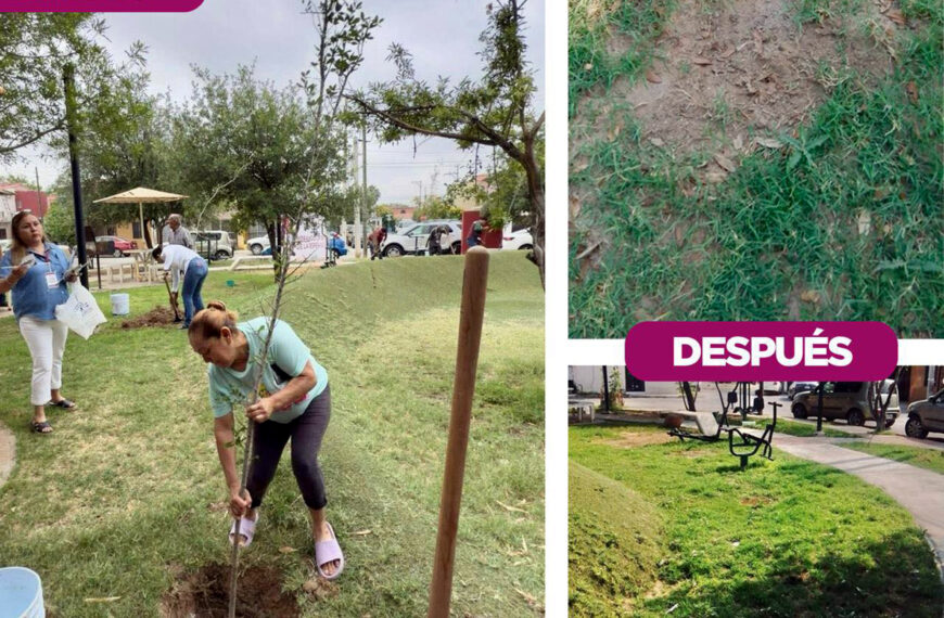 Comparativa antes y después del robo de árboles en Villas del Sol, Nuevo Laredo: reforestación comunitaria arruinada por vandalismo ambiental