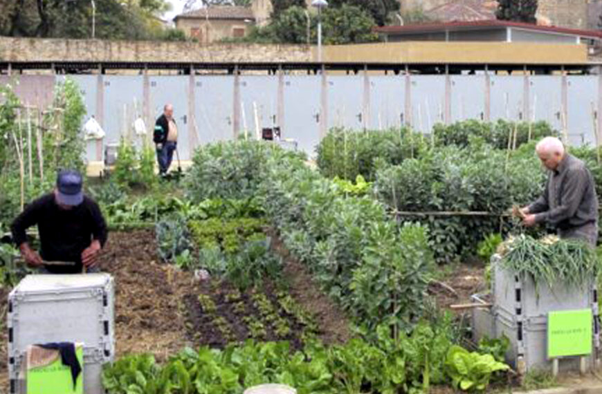 Agenda 2030 Nuevo Laredo define hoja de ruta sostenible