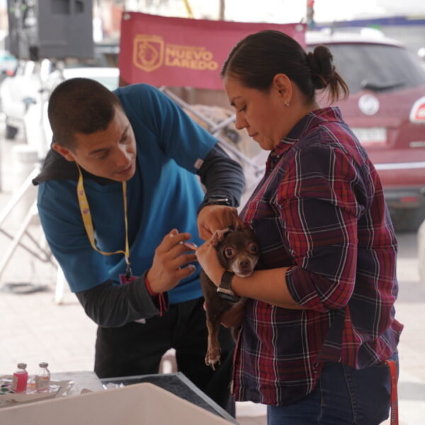 vacunación gratuita para perros y gatos en Nuevo Laredo