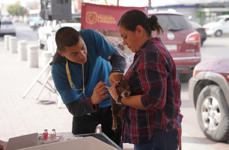 vacunación gratuita para perros y gatos en Nuevo Laredo