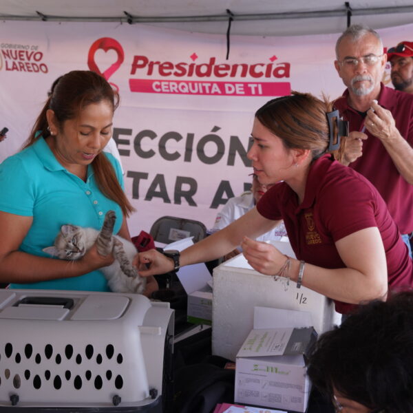 Vacunarán a mascotas gratis mañana dentro del programa…