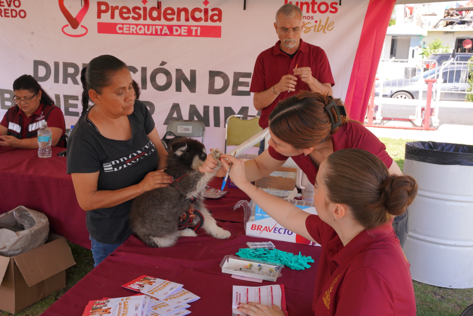 Mascotas recibiendo vacunas en jornada comunitaria