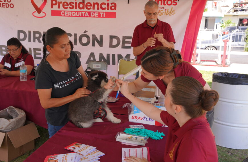 Mascotas recibiendo vacunas en jornada comunitaria