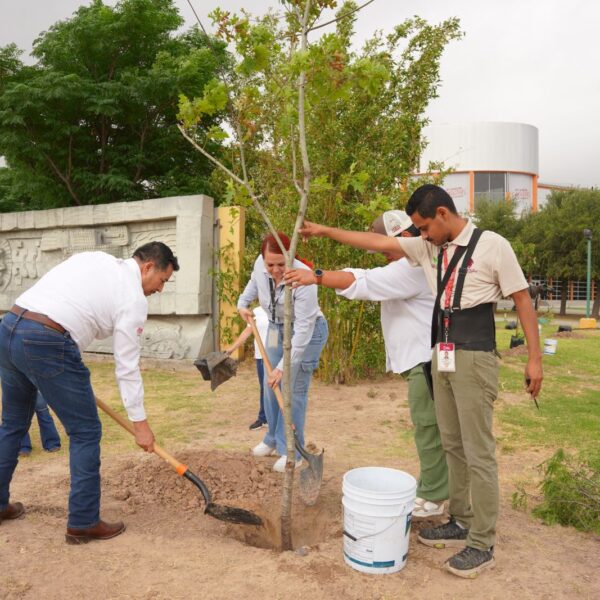 Impulsa gobierno municipal campaña de reforestación en espacios…