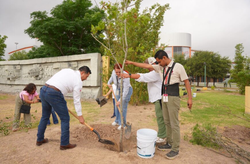 Voluntarios plantan árboles durante la campaña de reforestación en Nuevo Laredo