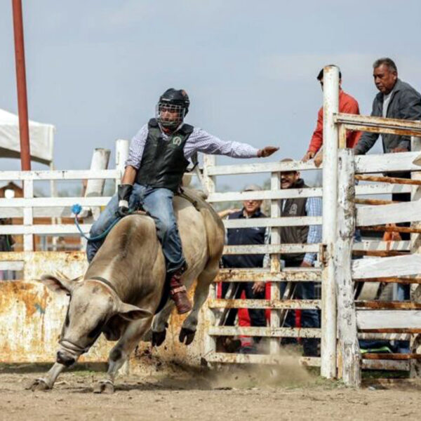 Jinetes de Nuevo Laredo entrenan rumbo al rodeo Olimpiada Nacional 2025