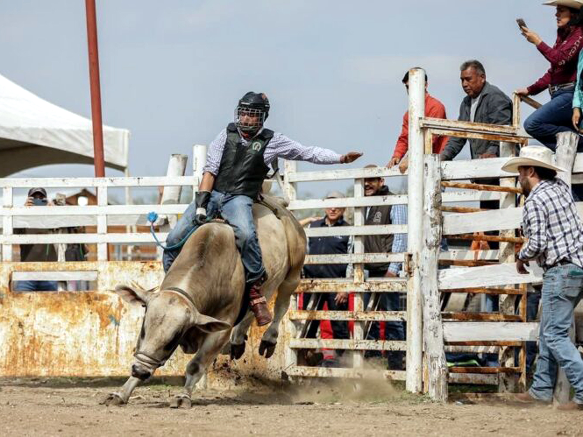 Jinetes de Nuevo Laredo entrenan rumbo al rodeo Olimpiada Nacional 2025