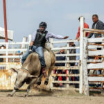 Jinetes de Nuevo Laredo entrenan rumbo al rodeo Olimpiada Nacional 2025